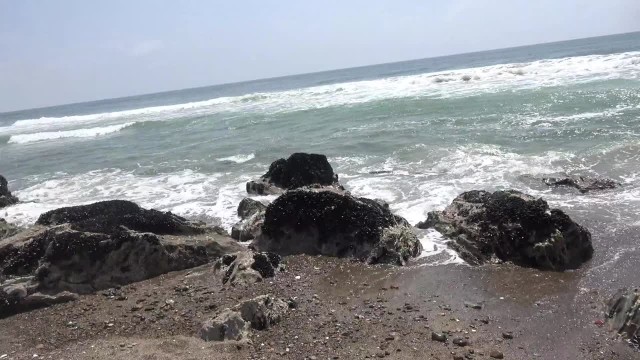 Поехали кататься на пляж Малибу!